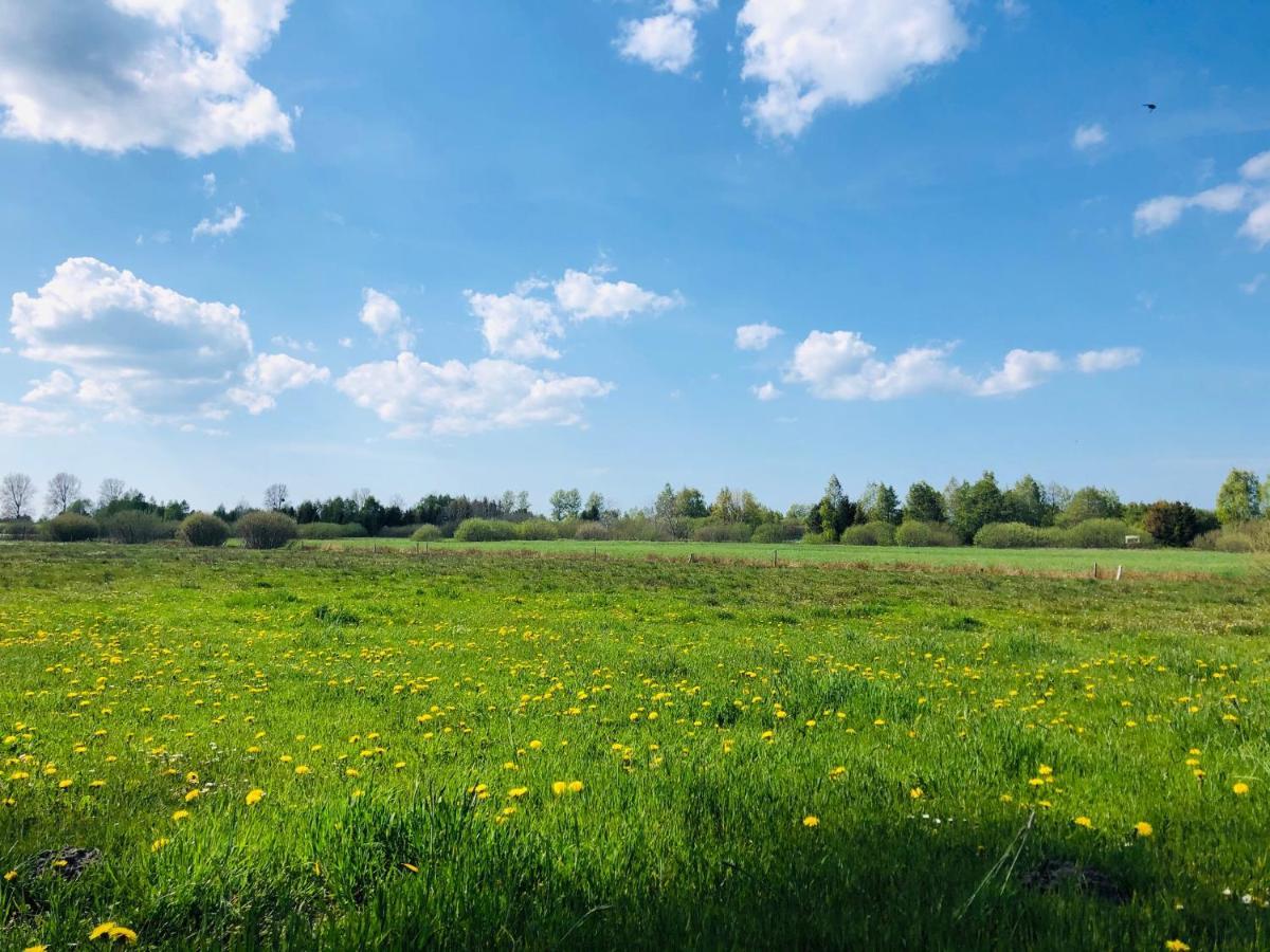Domek Letniskowy Z Kortem Tenisowym Karwia Ostrowo Ostrowo  Extérieur photo